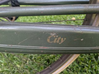 Bicicleta Raleigh paseo cambio interno 7v