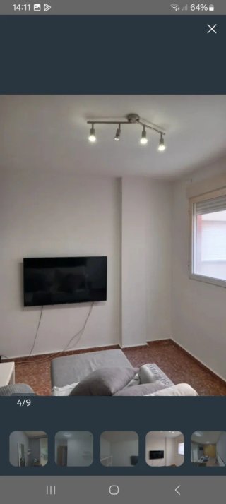 Pintor económico