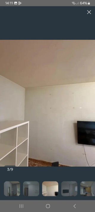 Pintor económico