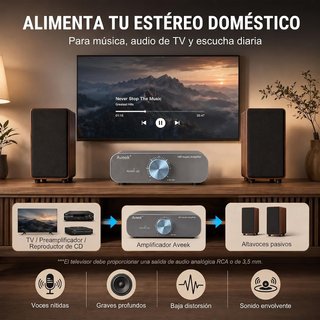 AVEEK TPA3255 Amplificador 2x300W Clase D 24–48V