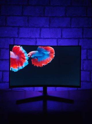 MSI 27" 170Hz Monitor Gaming Full HD