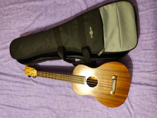 Ukelele Tenor con funda