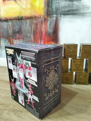 Cavalieri dello Zodiaco "Andromeda"