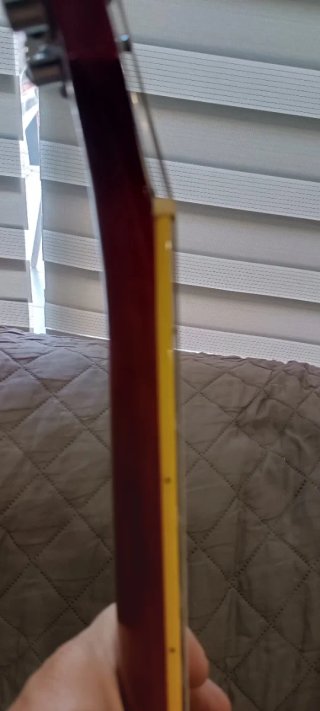 Epiphone Les Paul Standard Guitarra Eléctrica