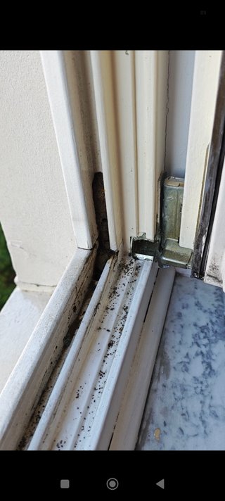 Limpieza de hogares y apartamentos