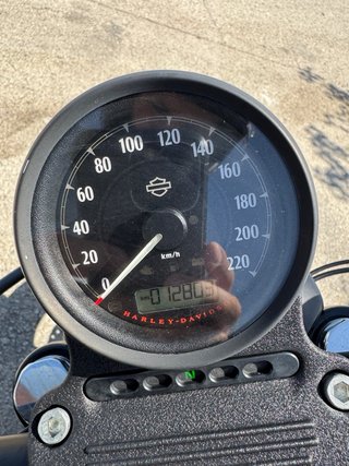Harley Davidson Sportster 883 Iron 2017 A2