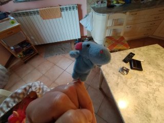 5 Pupazzi Dita Animali Peluche