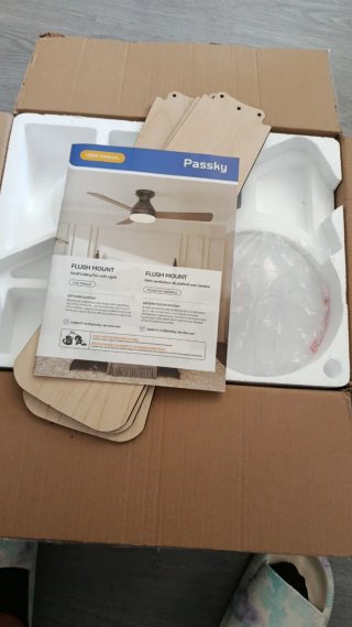 Ventilador de techo Passky Flush Mount