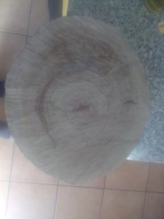 Rodaja de Eucalipto Negro