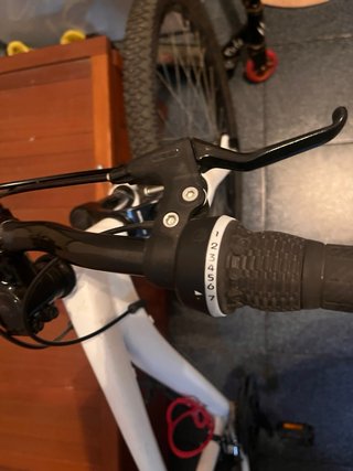 Bicicleta blanca
