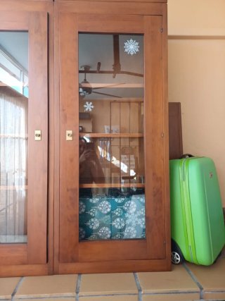 Vitrina de madera y cristal