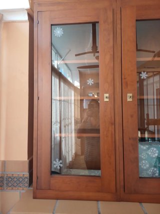 Vitrina de madera y cristal