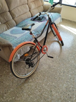 Bicicleta RIVERSIDE Aro 20