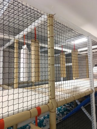 Mobiliario para parque de bolas