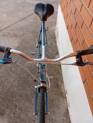 Bicicleta Macario Azul