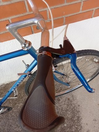 Bicicleta Macario Azul