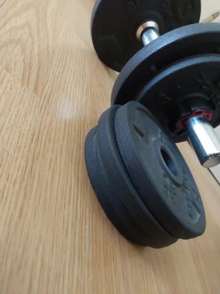Mancuerna con discos 12kg