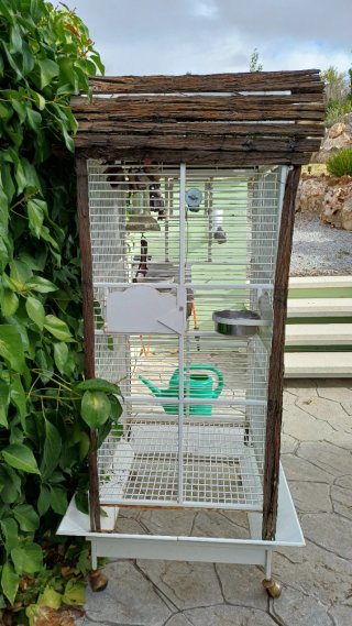 Jaula grande para loros
