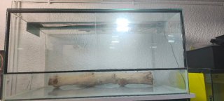 Terrario Grande con Tronco y Luz