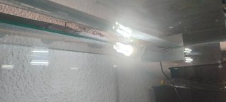 Terrario Grande con Tronco y Luz