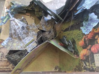 Harry Potter: A Pop-Up Book