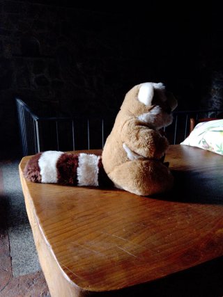 Peluche Trudi originale