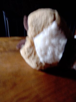 Peluche Trudi originale