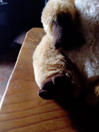 Peluche Trudi originale