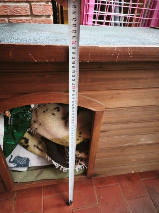 Casa para perros de madera