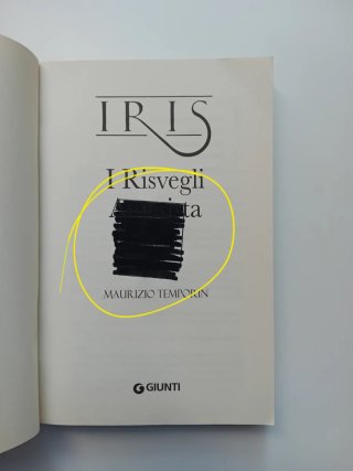 I Risvegli Ametista di Maurizio Temporin