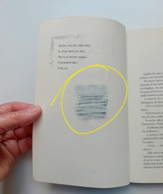 I Risvegli Ametista di Maurizio Temporin