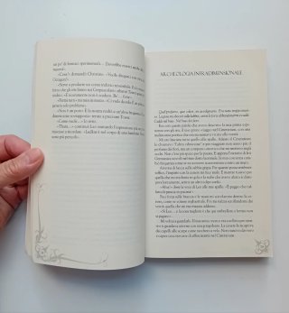 I Risvegli Ametista di Maurizio Temporin