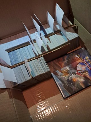 Lotto di Carte Pokemon