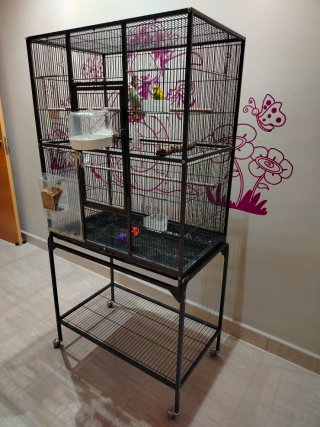 Jaula para pájaros, agapornis o loro