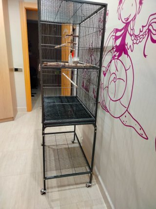 Jaula para pájaros, agapornis o loro