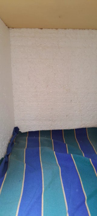 Caseta para perro o gato de madera
