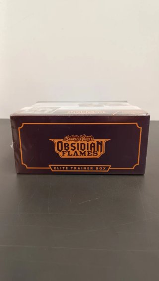 POKÉMON Scarlet & Violet Obsidian Flames  - 4820