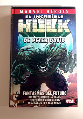 Hulk de peter david 6