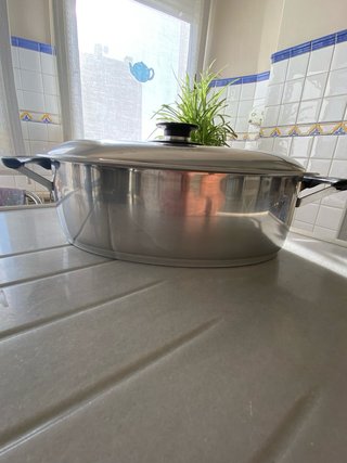 Vaporera + olla ovalada