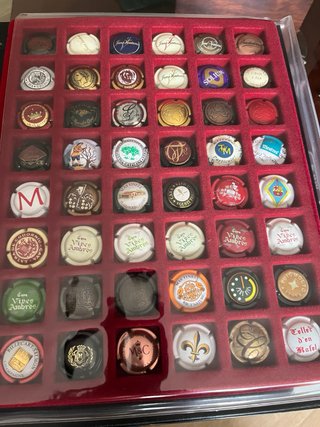 Álbum Chapas Cava Negro