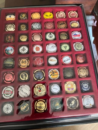 Álbum Chapas Cava Negro