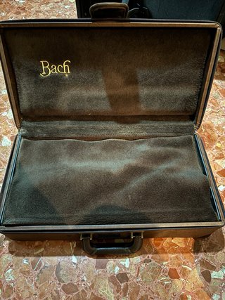 Estuche Vincent Bach Stradivarius