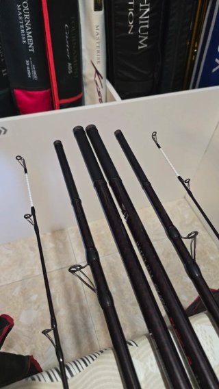 CAÑAS DAIWA EMBLEM SURF TYPE-R 33-420 TUBULAR