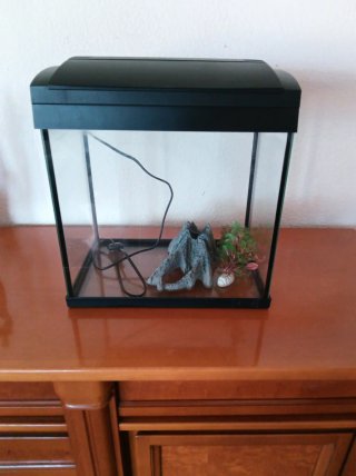 Acuario 20L con luz
