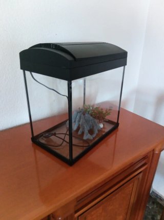 Acuario 20L con luz