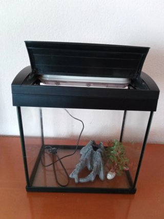 Acuario 20L con luz