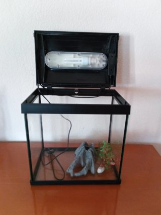 Acuario 20L con luz