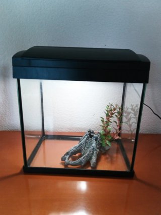 Acuario 20L con luz