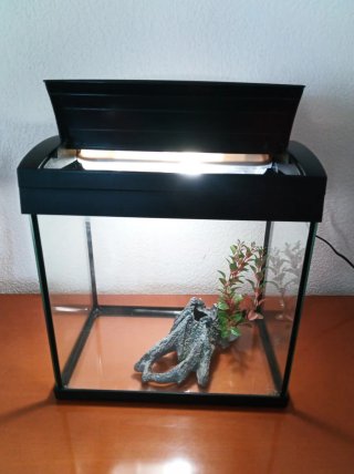 Acuario 20L con luz