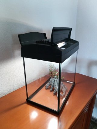 Acuario 20L con luz
